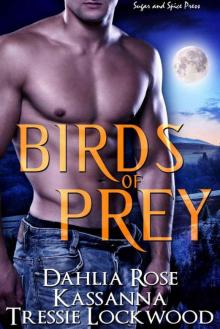 Birds of Prey Read online