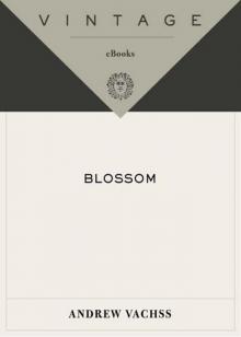 Blossom Read online