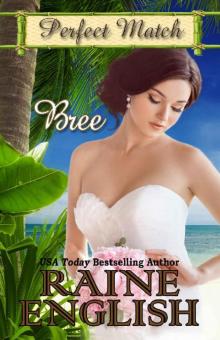 Bree (Perfect Match Book 1) Read online