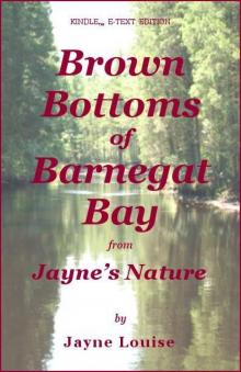 Brown Bottoms of Barnegat Bay (Jayne's Nature) Read online