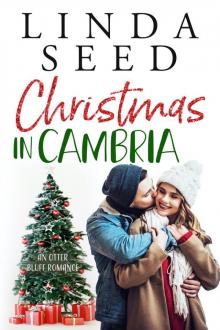 Christmas in Cambria Read online
