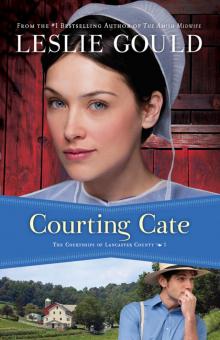 Courting Cate Read online