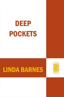 Deep Pockets (Carlotta Carlyle Mysteries Book 10) Read online
