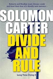 Divide and Rule Read online