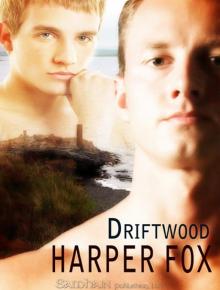 Driftwood Read online