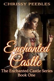 Enchanted Castle - A Novelette (The Enchanted Castle Series) Read online