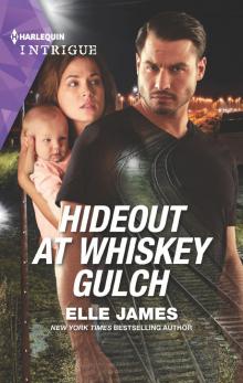 Hideout at Whiskey Gulch Read online