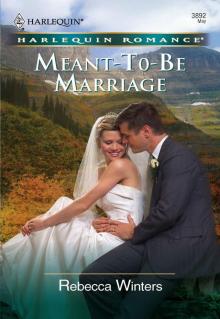 Meant-To-Be Marriage Read online