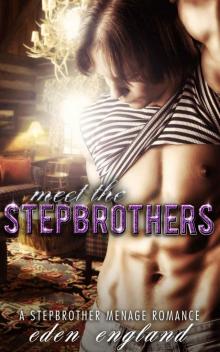 Meet The Stepbrothers: A STEPBROTHER MENAGE ROMANCE Read online