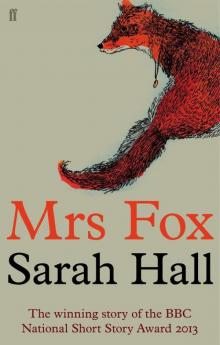 Mrs Fox Read online