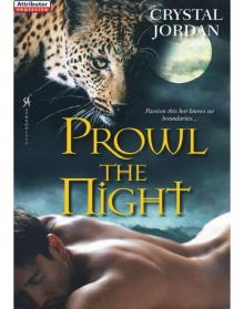 Prowl the Night Read online