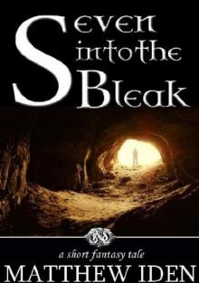 Seven Into the Bleak Read online