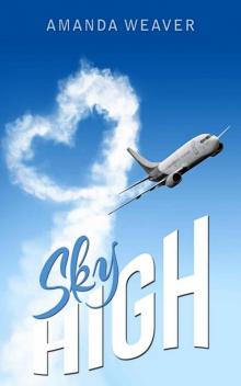 Sky High (Three Contemporary Novella's) Read online
