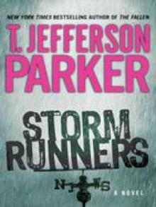 Storm Runners