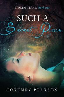 Such A Secret Place (Stolen Tears Book 1) Read online