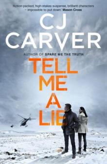 Tell Me A Lie (The Dan Forrester series) Read online