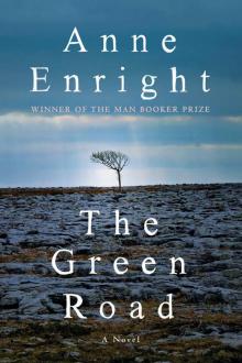 The Green Road: A Novel Read online