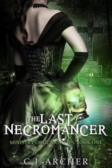 The Last Necromancer Read online