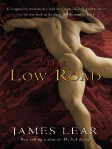 The Low Road Read online