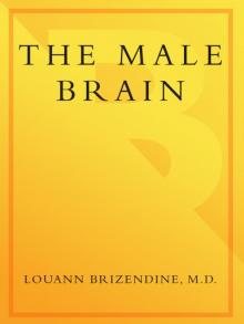 The Male Brain