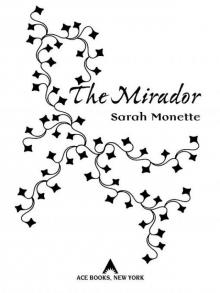 The Mirador Read online