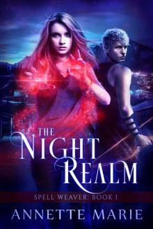 The Night Realm Read online