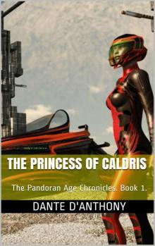 The Princess of Caldris Read online