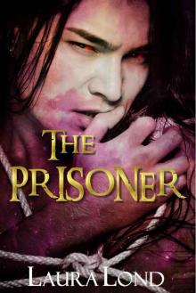 The Prisoner (The Dark Elf of Syron, #1) Read online