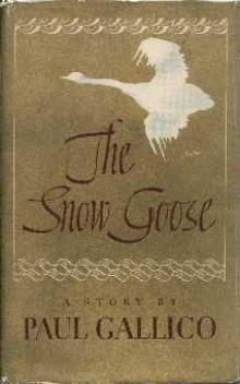The Snow Goose Read online