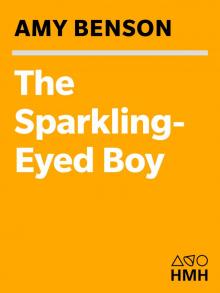 The Sparkling-Eyed Boy