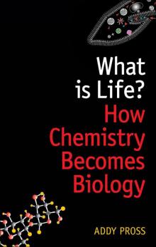 What is Life?:How chemistry becomes biology