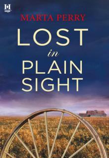 Amish Suspense 03 - Lost in Plain Sight Read online