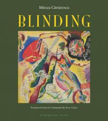 Blinding: Volume 1