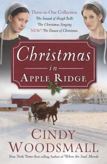Christmas in Apple Ridge Read online