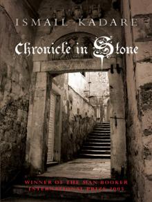 Chronicle in Stone Read online