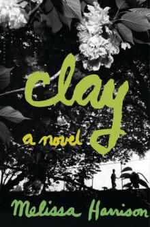 Clay Read online