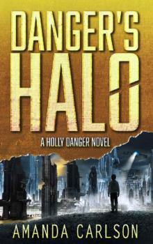 Danger's Halo: (Holly Danger Book 1) Read online