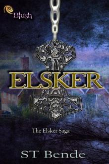 Elsker Read online