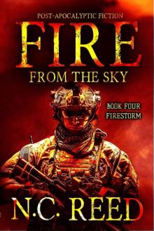 Fire From the Sky: Firestorm Read online