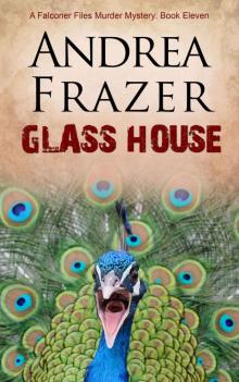 Glass House (The Falconer Files Book 11) Read online