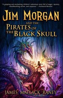 Jim Morgan and the Pirates of the Black Skull Read online