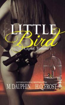 Little Bird (Caged #1) Read online