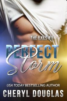 Perfect Storm (The Exes #1) Read online