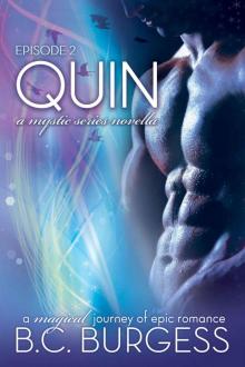 Quin 2 (The Mystic Series)