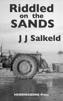 Riddled on the Sands (The Lakeland Murders) Read online