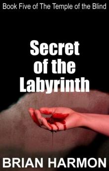 Secret of the Labyrinth (The Temple of the Blind #5) Read online
