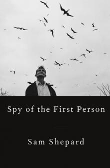Spy of the First Person Read online