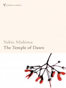 Temple Of Dawn Read online