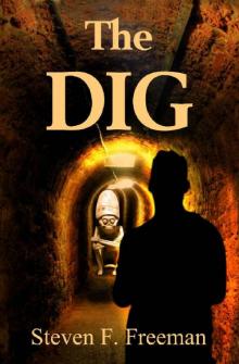 The Dig (The Blackwell Files Book 9) Read online