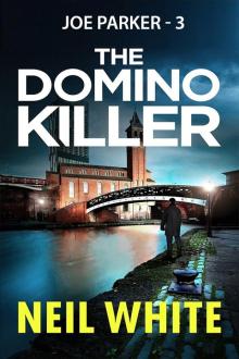 The Domino Killer Read online